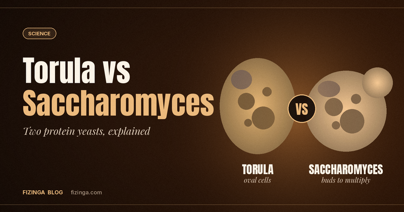 Torula vs Saccharomyces Yeast Protein: What's the Difference?