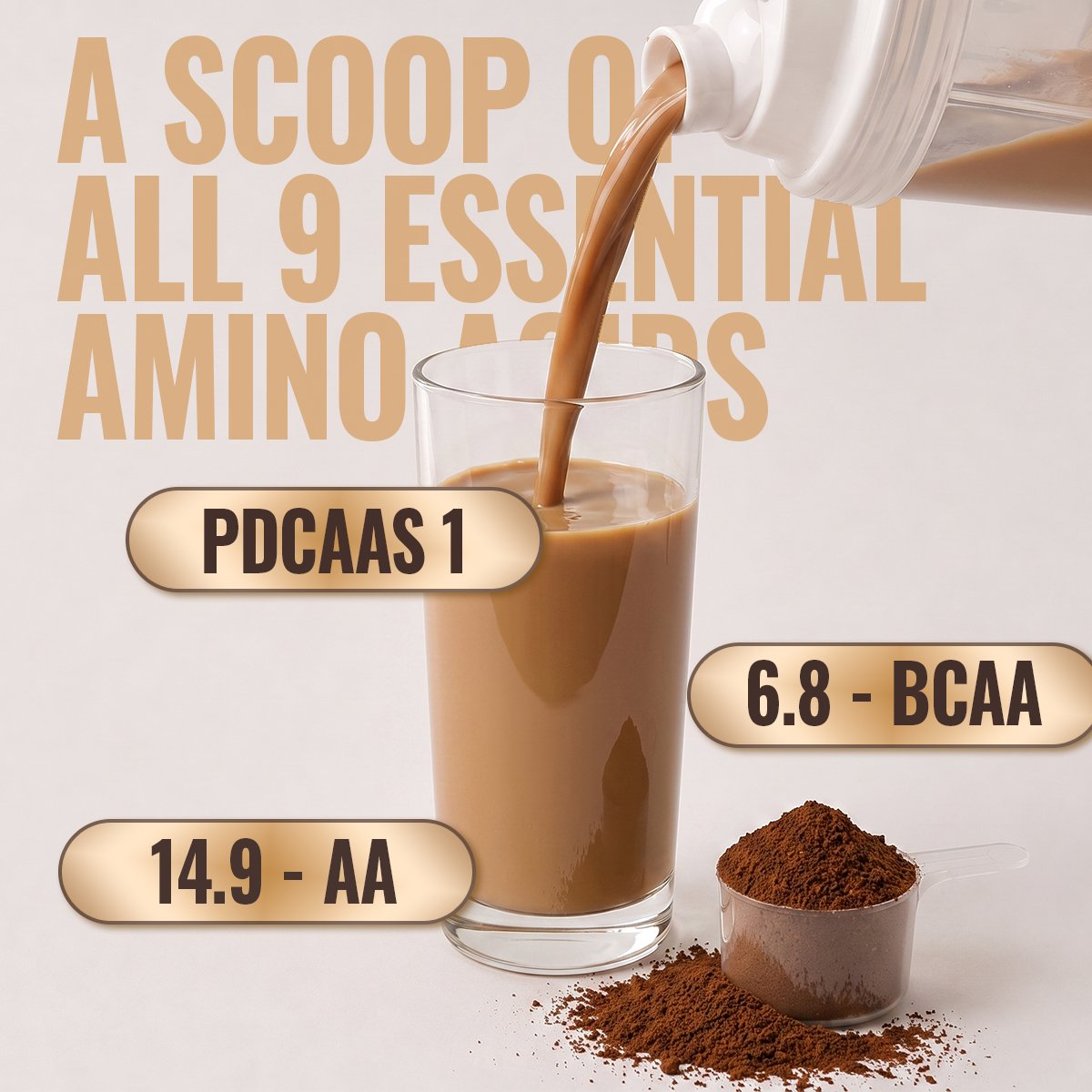 Fizinga Smart Protein - Cold Coffee - Fermented Yeast Protein image 2